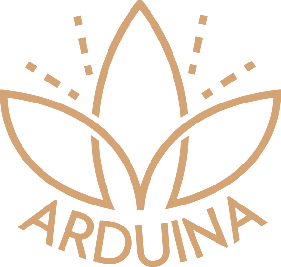 ARNAUD PILET (ARDUINA)