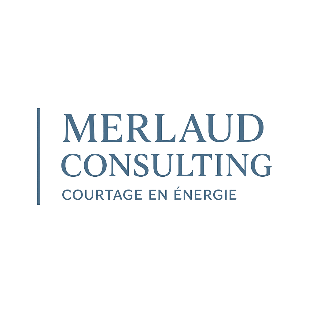 Merlaud Consulting