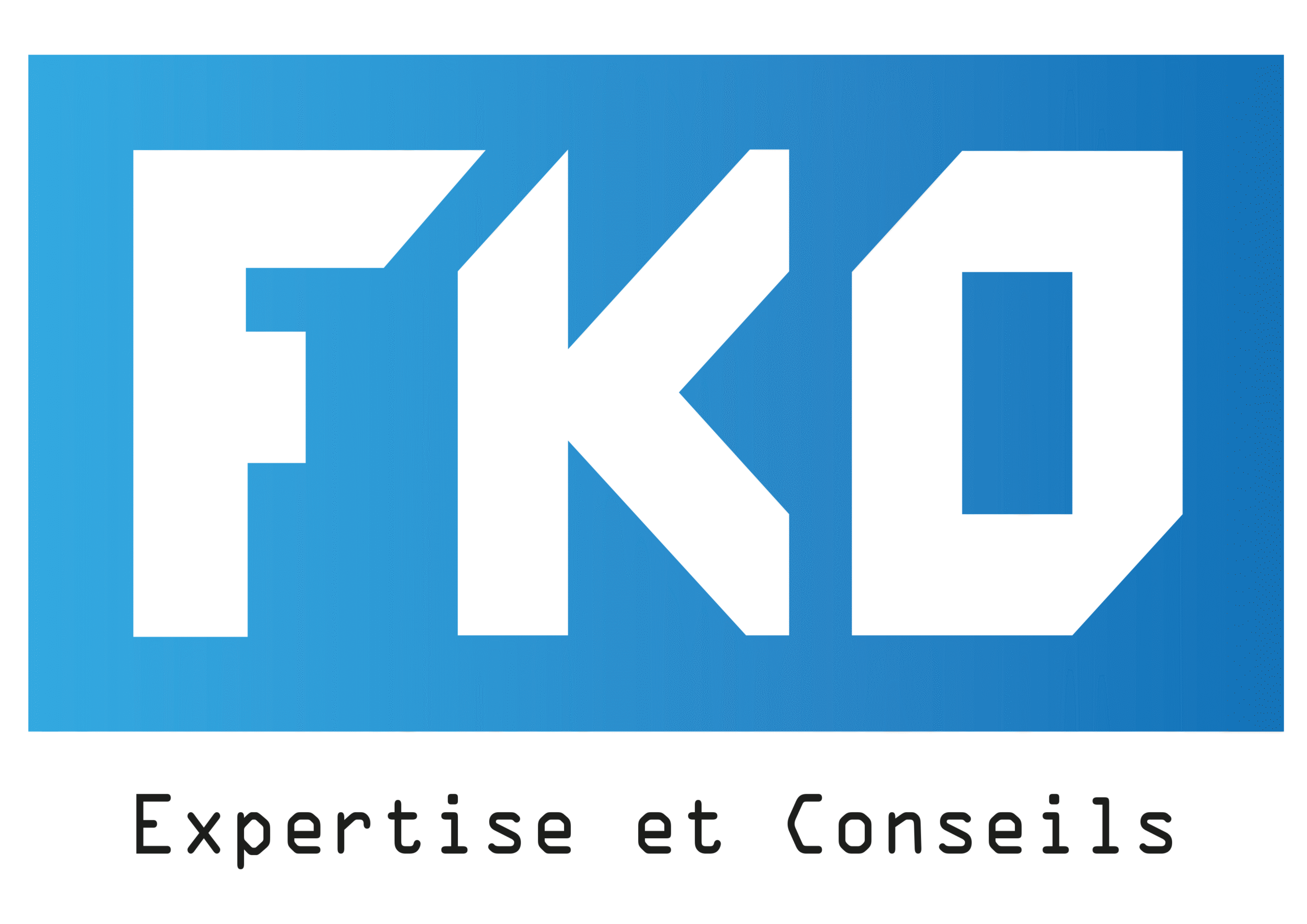FKO EXPERTISE ET CONSEILS