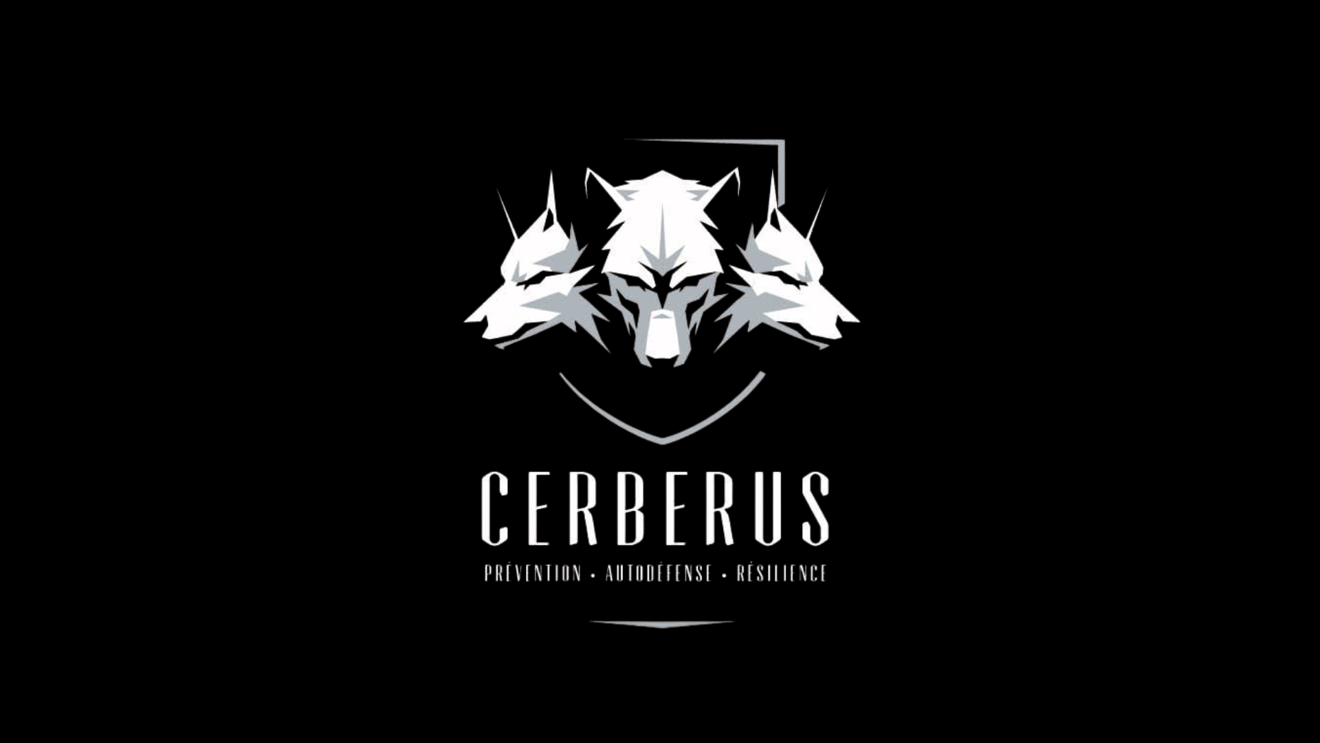 Cerberus Formations
