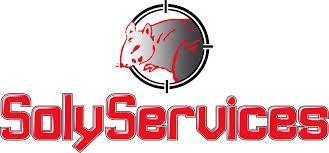 Solyservices