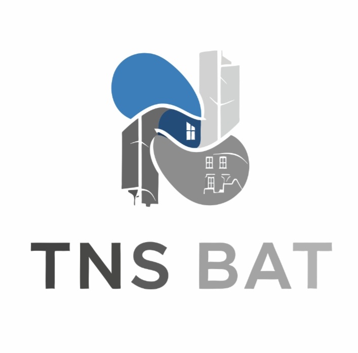 TNS BAT