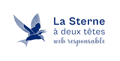 LA STERNE A DEUX TETES